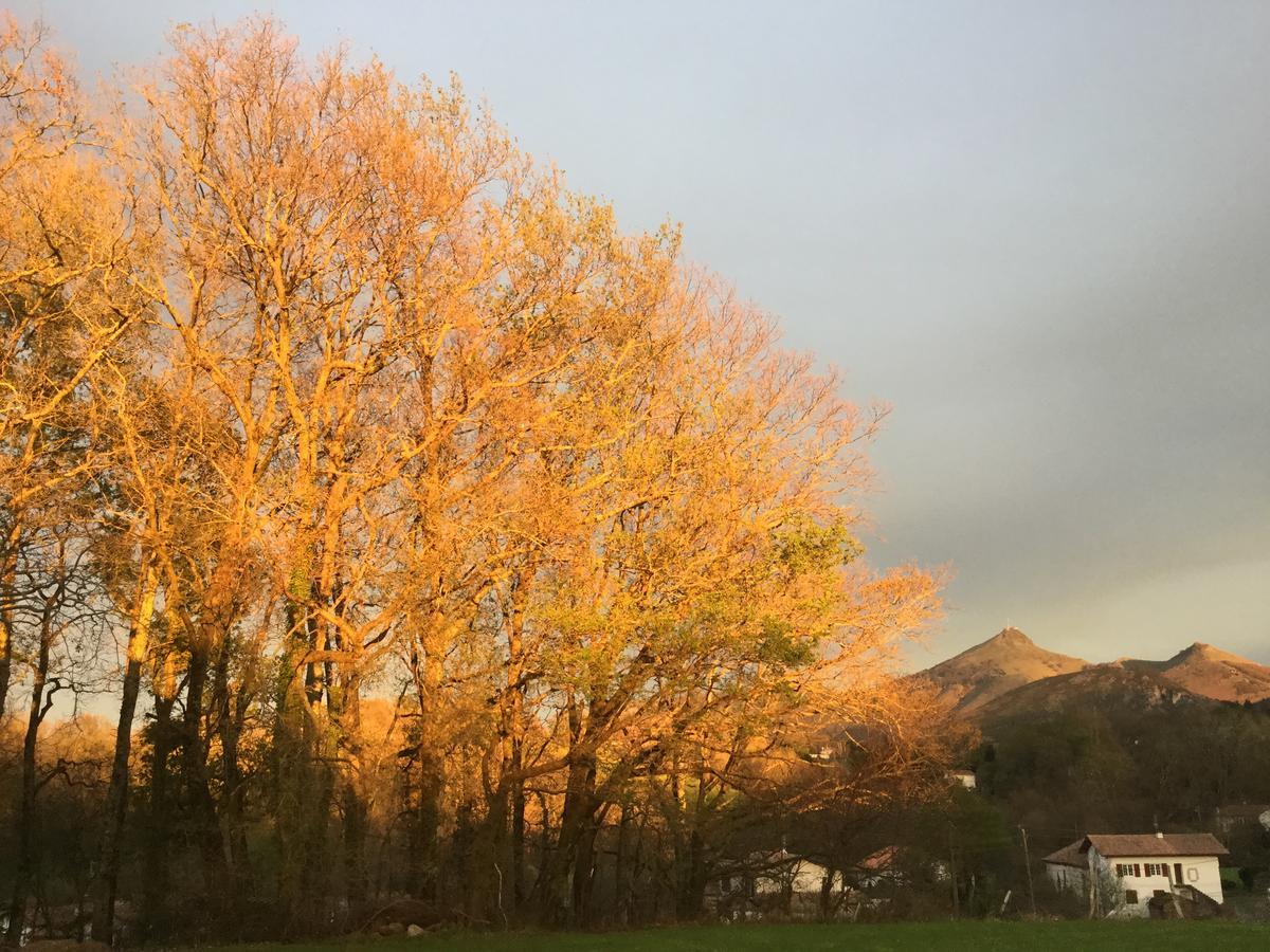 Apitoki - Chambres D'Hotes Au Pays Basque ユリューニュ エクステリア 写真