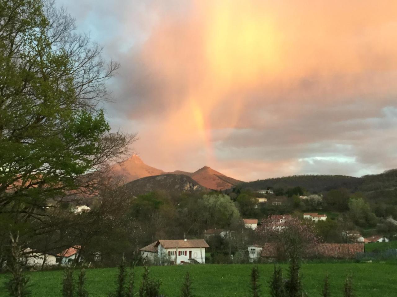 Apitoki - Chambres D'Hotes Au Pays Basque ユリューニュ エクステリア 写真