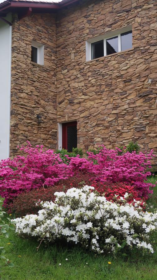 Apitoki - Chambres D'Hotes Au Pays Basque ユリューニュ エクステリア 写真
